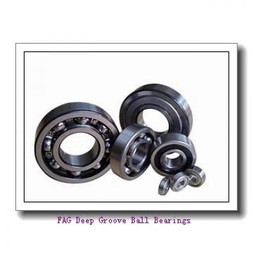 FAG 6319-2Z Deep Groove Ball Bearings