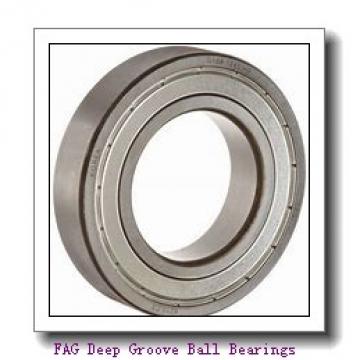 FAG 6311-2Z Deep Groove Ball Bearings