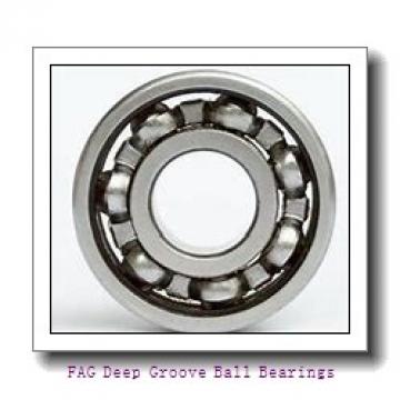 FAG 6318-2Z Deep Groove Ball Bearings