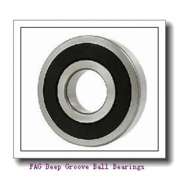 FAG 6309 Deep Groove Ball Bearings