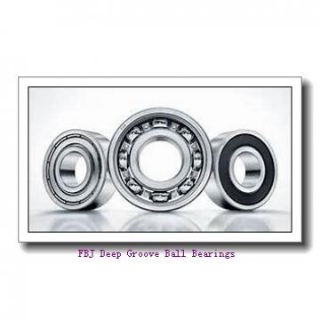 FBJ 6802 Deep Groove Ball Bearings