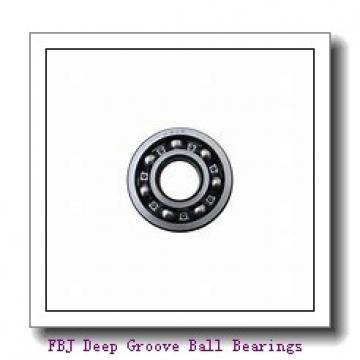FBJ 6703ZZ Deep Groove Ball Bearings