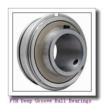 FYH ER201 Deep Groove Ball Bearings