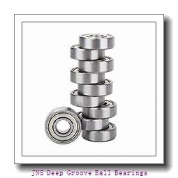 JNS NA 4905 Deep Groove Ball Bearings