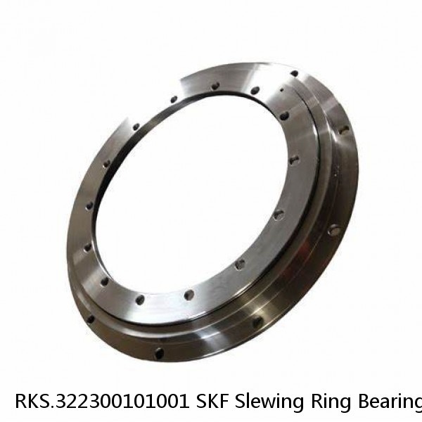 RKS.322300101001 SKF Slewing Ring Bearings