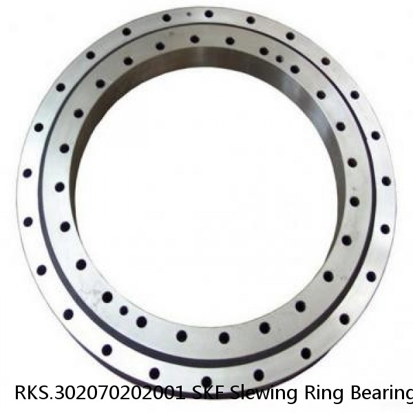 RKS.302070202001 SKF Slewing Ring Bearings