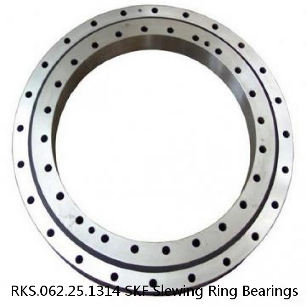 RKS.062.25.1314 SKF Slewing Ring Bearings