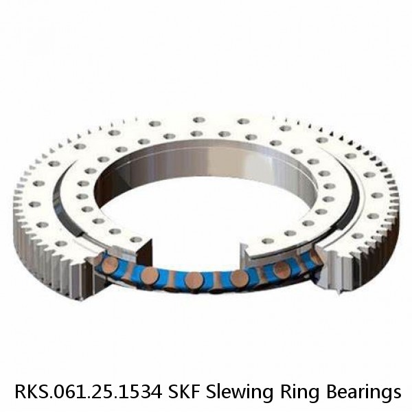 RKS.061.25.1534 SKF Slewing Ring Bearings