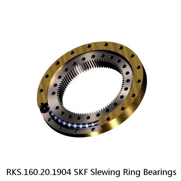 RKS.160.20.1904 SKF Slewing Ring Bearings