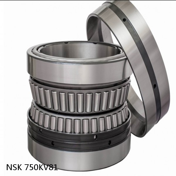 750KV81 NSK Four-Row Tapered Roller Bearing