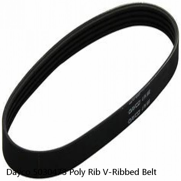 Dayco 5030473 Poly Rib V-Ribbed Belt