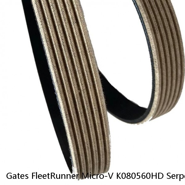 Gates FleetRunner Micro-V K080560HD Serpentine Belt for 1240873H1 1250454H1 vk