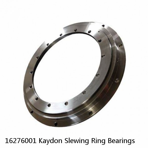 16276001 Kaydon Slewing Ring Bearings #1 small image