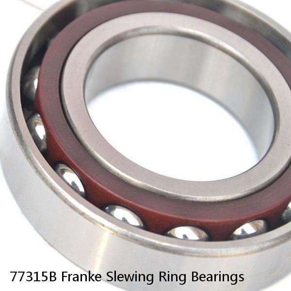 77315B Franke Slewing Ring Bearings #1 small image