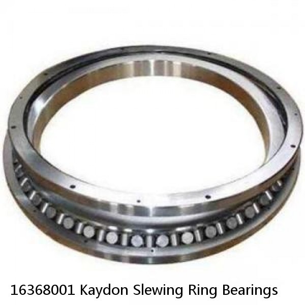 16368001 Kaydon Slewing Ring Bearings #1 small image