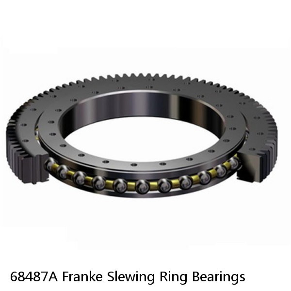 68487A Franke Slewing Ring Bearings #1 small image