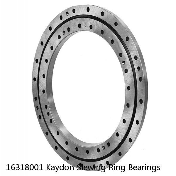 16318001 Kaydon Slewing Ring Bearings #1 small image