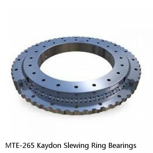 MTE-265 Kaydon Slewing Ring Bearings #1 small image