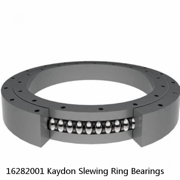 16282001 Kaydon Slewing Ring Bearings #1 small image