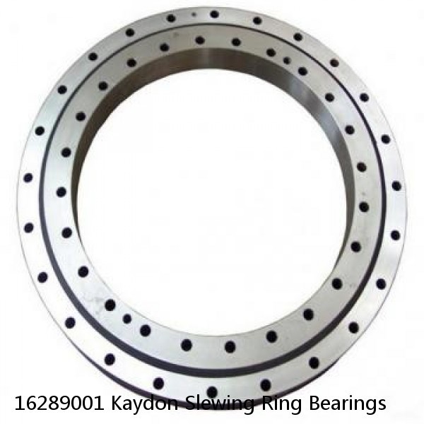 16289001 Kaydon Slewing Ring Bearings #1 small image