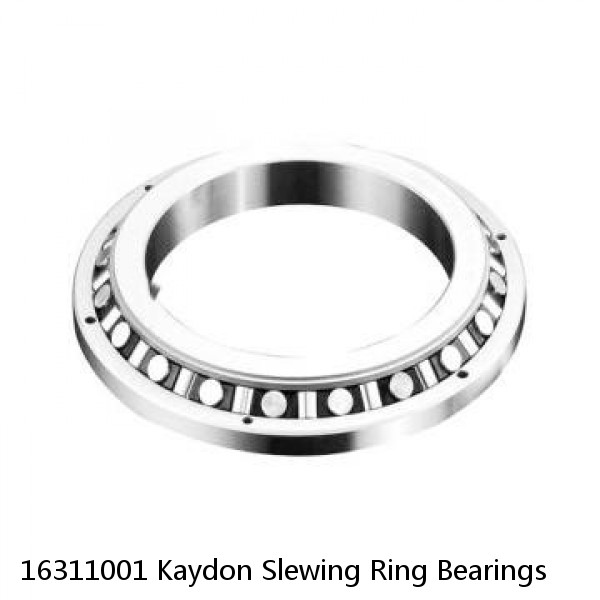 16311001 Kaydon Slewing Ring Bearings #1 small image