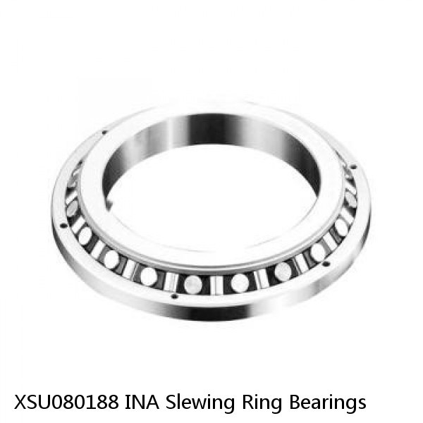 XSU080188 INA Slewing Ring Bearings #1 small image