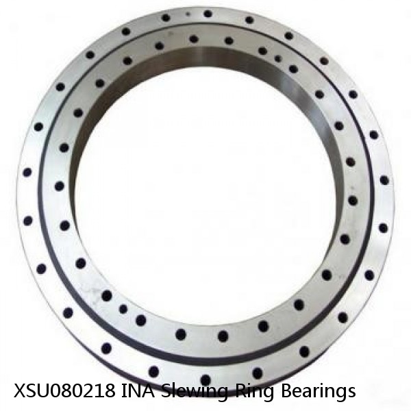 XSU080218 INA Slewing Ring Bearings #1 small image