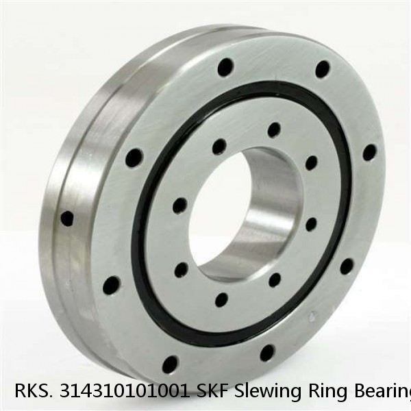 RKS. 314310101001 SKF Slewing Ring Bearings