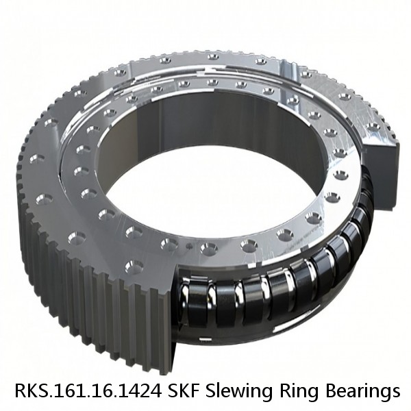 RKS.161.16.1424 SKF Slewing Ring Bearings #1 small image