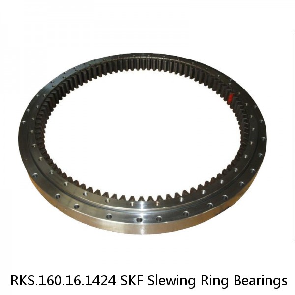 RKS.160.16.1424 SKF Slewing Ring Bearings #1 small image