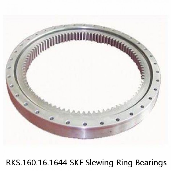 RKS.160.16.1644 SKF Slewing Ring Bearings #1 small image