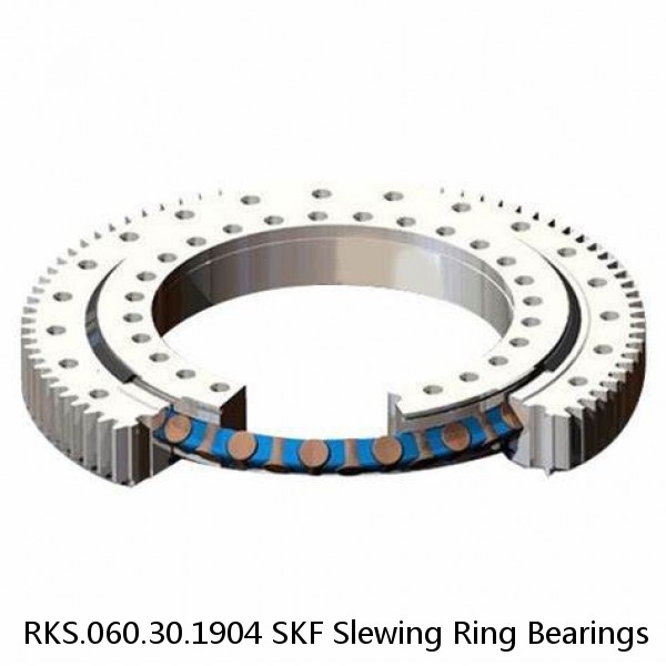 RKS.060.30.1904 SKF Slewing Ring Bearings #1 small image