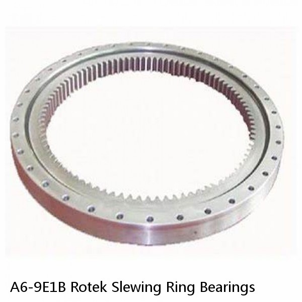 A6-9E1B Rotek Slewing Ring Bearings #1 small image