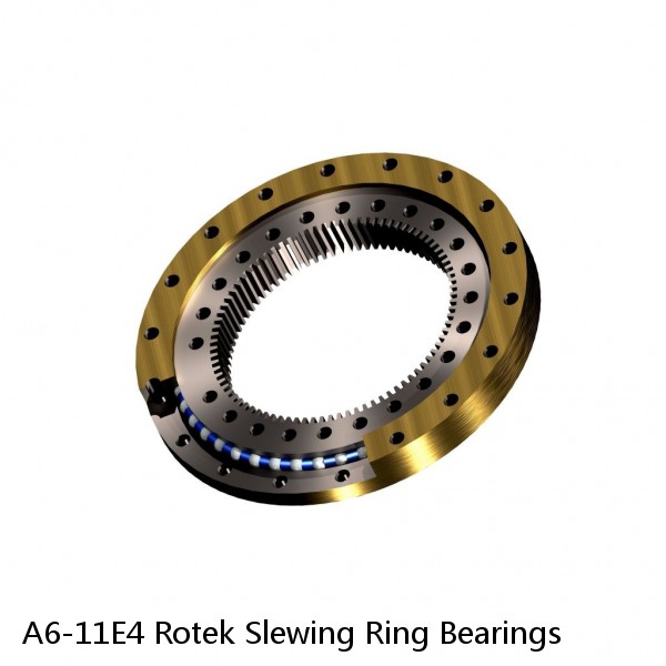 A6-11E4 Rotek Slewing Ring Bearings #1 small image