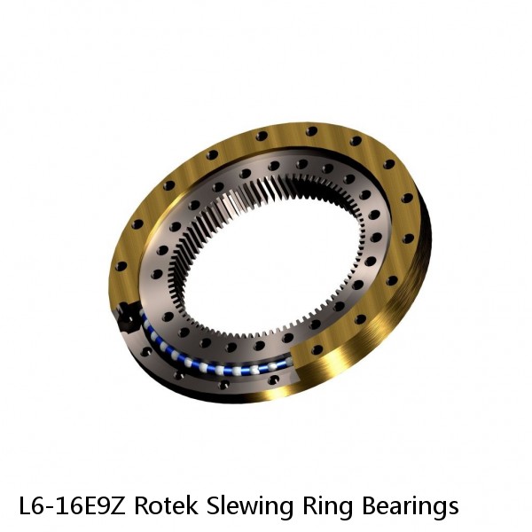 L6-16E9Z Rotek Slewing Ring Bearings #1 small image