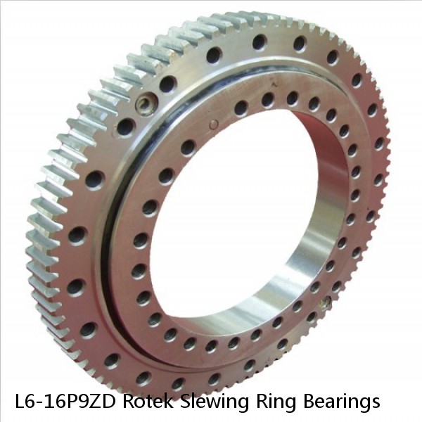 L6-16P9ZD Rotek Slewing Ring Bearings #1 small image