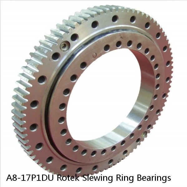 A8-17P1DU Rotek Slewing Ring Bearings #1 small image