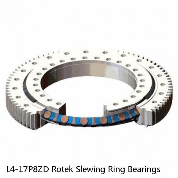 L4-17P8ZD Rotek Slewing Ring Bearings #1 small image