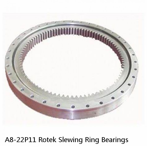 A8-22P11 Rotek Slewing Ring Bearings