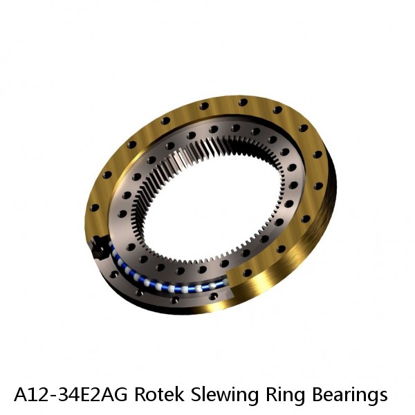 A12-34E2AG Rotek Slewing Ring Bearings #1 small image