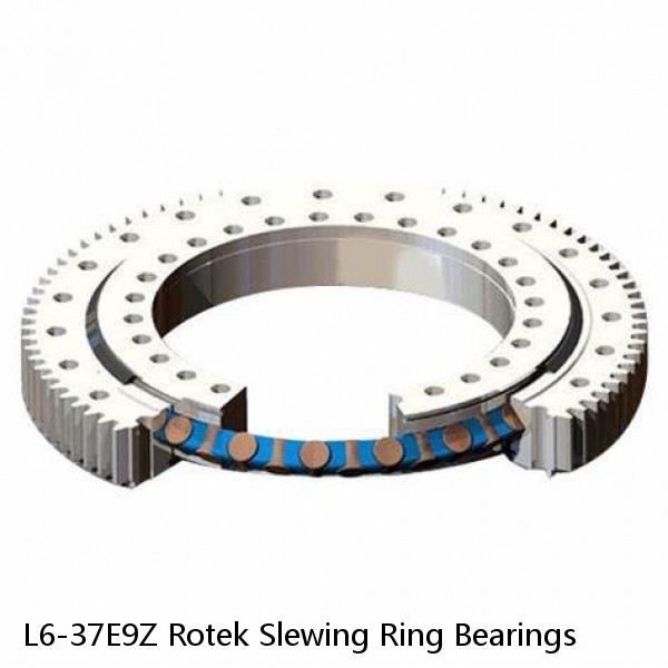 L6-37E9Z Rotek Slewing Ring Bearings #1 small image