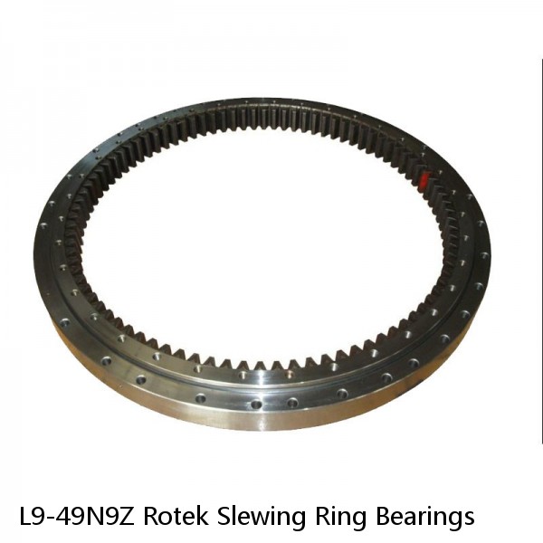 L9-49N9Z Rotek Slewing Ring Bearings #1 small image