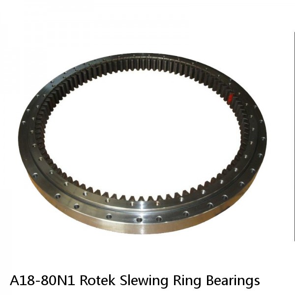 A18-80N1 Rotek Slewing Ring Bearings #1 small image