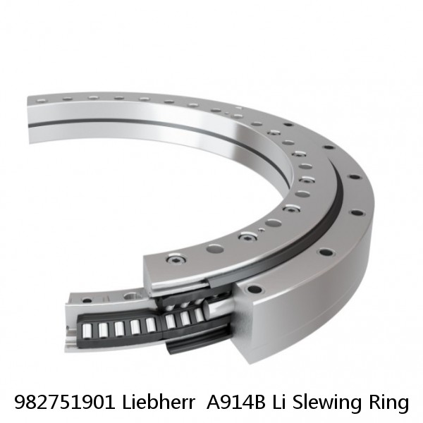 982751901 Liebherr  A914B Li Slewing Ring #1 small image