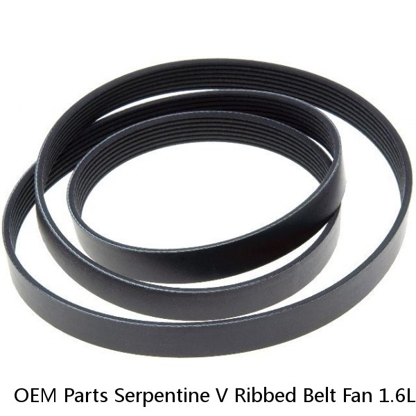 OEM Parts Serpentine V Ribbed Belt Fan 1.6L 25212 2B020 for HYUNDAI Car #1 small image