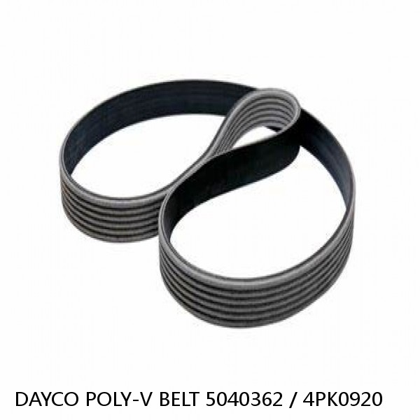 DAYCO POLY-V BELT 5040362 / 4PK0920