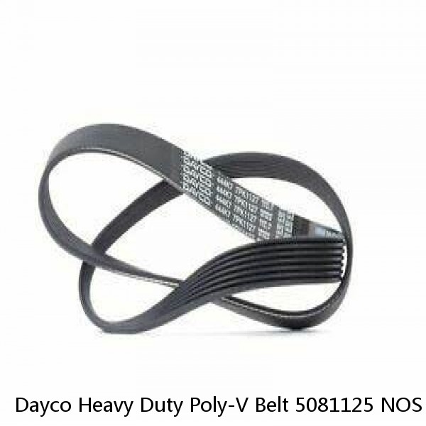 Dayco Heavy Duty Poly-V Belt 5081125 NOS #1 small image