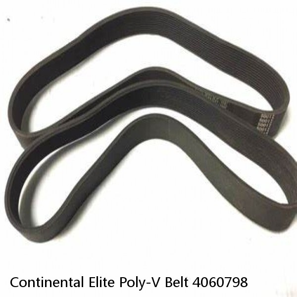 Continental Elite Poly-V Belt 4060798 #1 small image