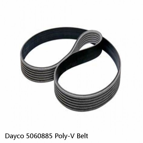 Dayco 5060885 Poly-V Belt #1 small image