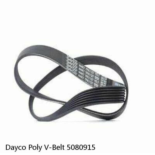 Dayco Poly V-Belt 5080915 #1 small image